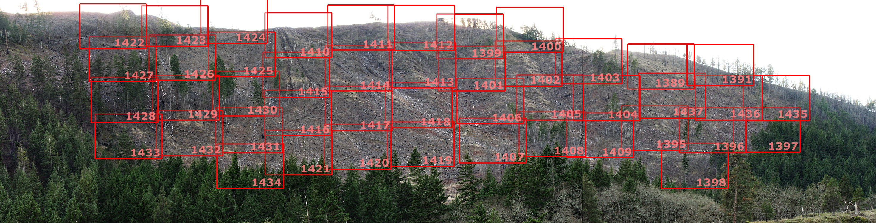 Anatomy of a Clearcut:  Map Key