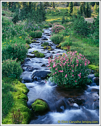 Crooked Creek --  Chris Carvalho/Lensjoy.com