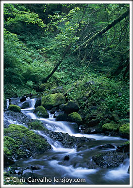 Perham Creek -- Photo  Chris Carvalho/Lensjoy.com