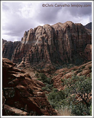 Snow Canyon -- Photo  Chris Carvalho/Lensjoy.com