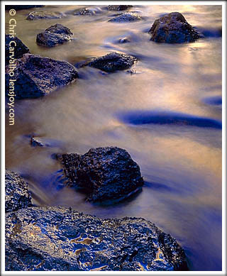 Day and Night -- Photo  Chris Carvalho/Lensjoy.com