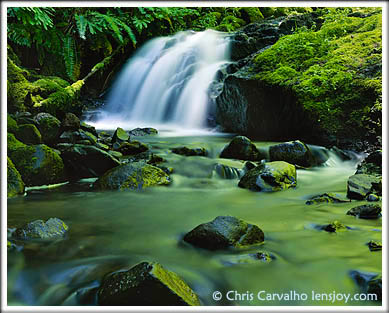 Enchanted Waterfall -- Photo  Chris Carvalho/Lensjoy.com