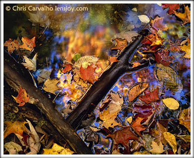 Rainbow Pool -- Photo  Chris Carvalho/Lensjoy.com