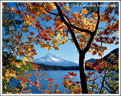 Autumn's Embrace --  Chris Carvalho/Lensjoy.com